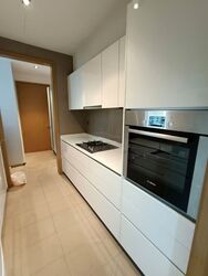 Skyline Residences (D4), Condominium #570637321